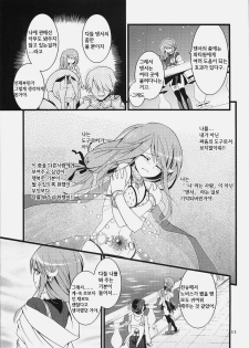 (C78) [Ryuknigthia (Kiduki Erika)] Daily RO 3 (Ragnarok Online) [Korean] - page 12