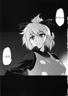 (C78) [RapidRabbit (Tomotsuka Haruomi)] Byoujo no Sho | 병녀의 서 (Touhou Project) [Korean] [팀☆면갤] - page 33