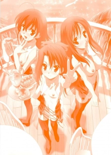 SummerDays Visual Guide Book - page 2