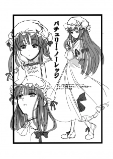 (C81) [TEX-MEX (Red Bear)] Touhou Enrashou Yukari (Touhou Project) [English] =LWB= - page 32