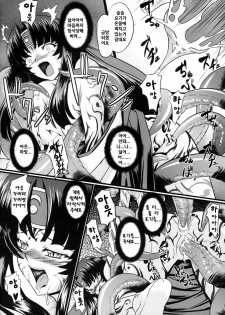 (COMIC1☆2) [Neko Saffron (inoino)] Musha Miko Dajoku Emaki (Queen's Blade) [Korean] [Bigking] - page 17
