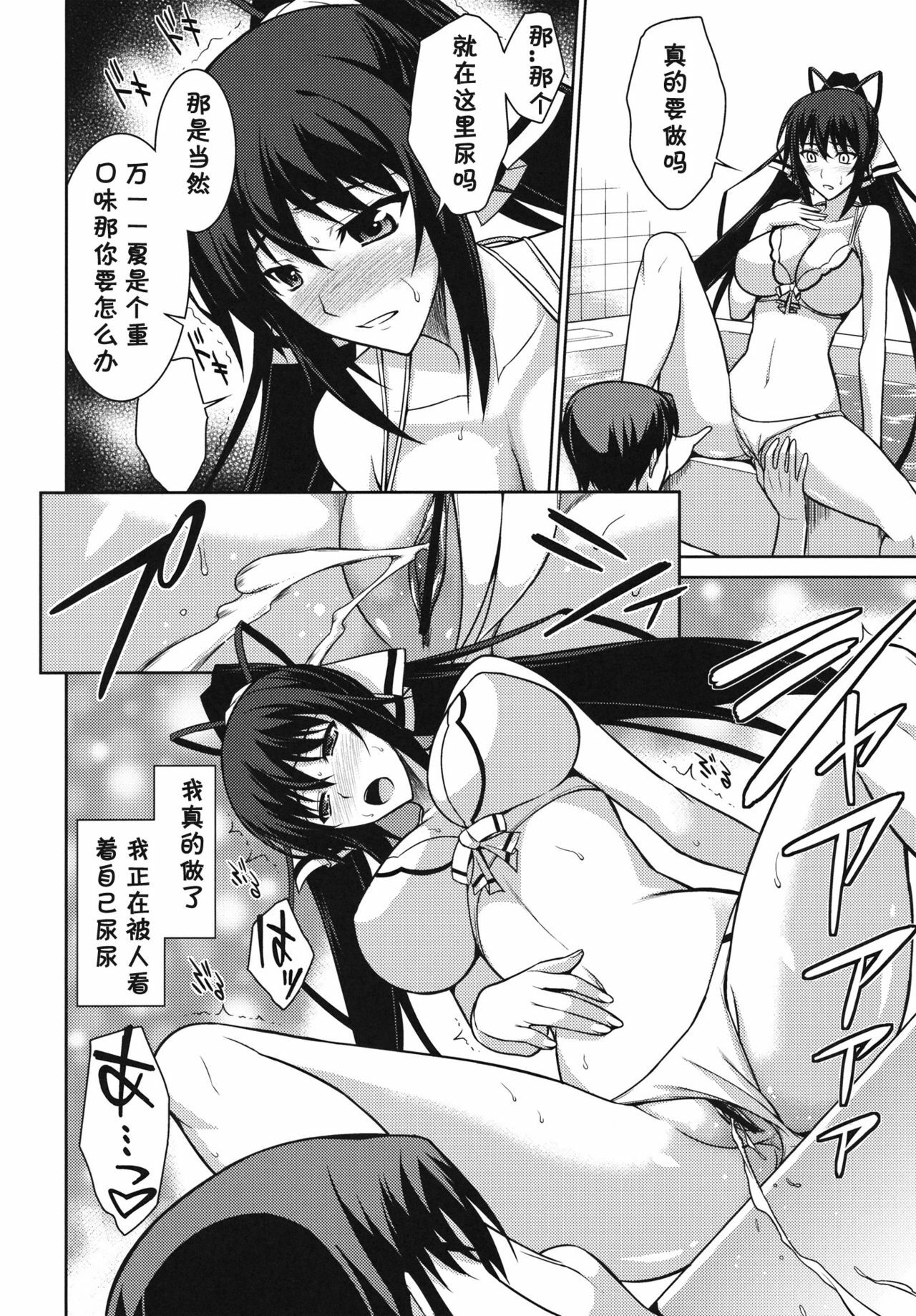 (C81) [Type-G (Ishikagi Takashi)] Broom on the Frontline (IS ) [Chinese] [黑条汉化] page 30 full