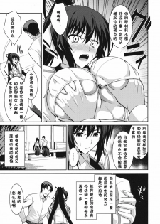 (C81) [Type-G (Ishikagi Takashi)] Broom on the Frontline (IS ) [Chinese] [黑条汉化] - page 7