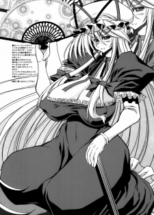 (C81) [Kikyakudou (Karateka Value)] Babar Zone (Touhou Project) - page 26