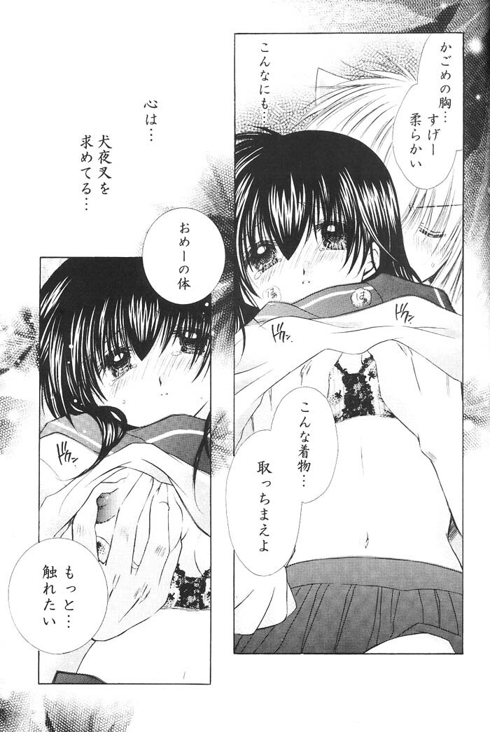 (C66) [Sakurakan (Seriou Sakura)] Hajimaru Hoshioto (Inuyasha) page 88 full