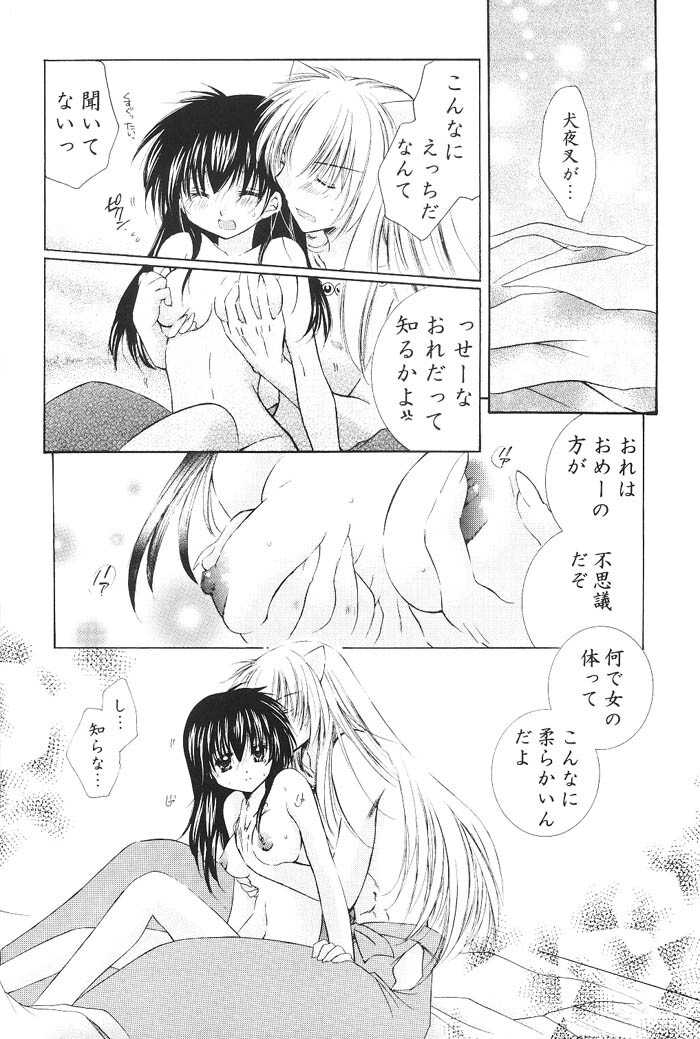 (C66) [Sakurakan (Seriou Sakura)] Hajimaru Hoshioto (Inuyasha) page 89 full