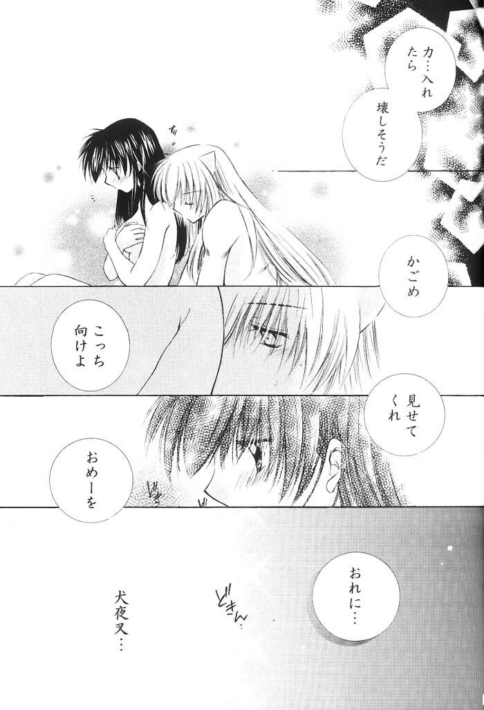 (C66) [Sakurakan (Seriou Sakura)] Hajimaru Hoshioto (Inuyasha) page 90 full