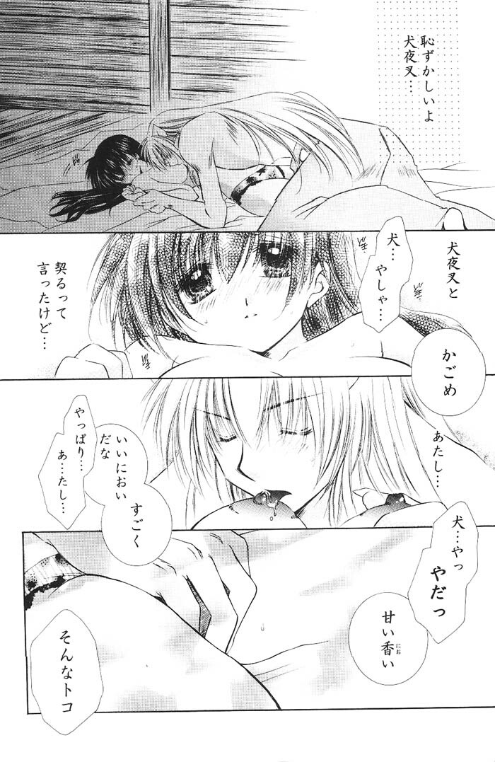 (C66) [Sakurakan (Seriou Sakura)] Hajimaru Hoshioto (Inuyasha) page 93 full