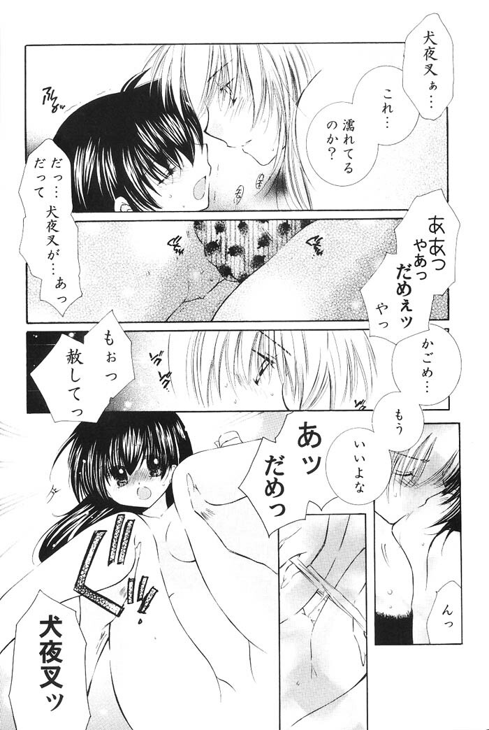 (C66) [Sakurakan (Seriou Sakura)] Hajimaru Hoshioto (Inuyasha) page 95 full