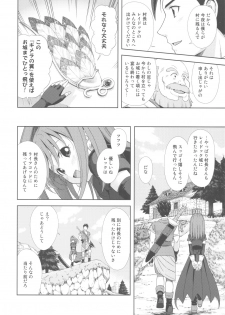 (C81) [STUDIO RUNAWAY WOLF (Nakajima Akihiko)] Moe Moe Quest Z Vol. 4 (Dragon Quest VI) - page 30