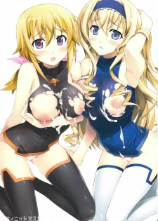 (C81) [Yan-Yam] Infinite Masquerade (Infinite Stratos) - page 3