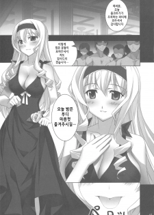 (C81) [Yan-Yam (Yan-Yam)] Infinite Masquerade (Infinite Stratos) [Korean] {Team H} - page 15