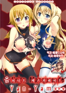 (C81) [Yan-Yam (Yan-Yam)] Infinite Masquerade (Infinite Stratos) [Korean] {Team H}