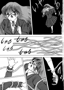 [Eiri Kiku] Kimyou na Kajitsu - page 10