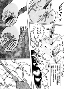 [Eiri Kiku] Kimyou na Kajitsu - page 16