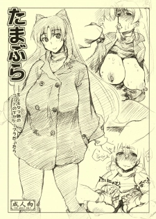 (C81) [Sago-Jou (Saura Isago)] Tamabura (ToHeart2)