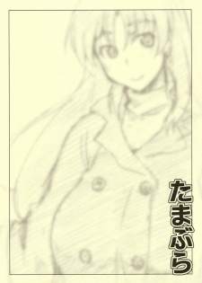 (C81) [Sago-Jou (Saura Isago)] Tamabura (ToHeart2) - page 2