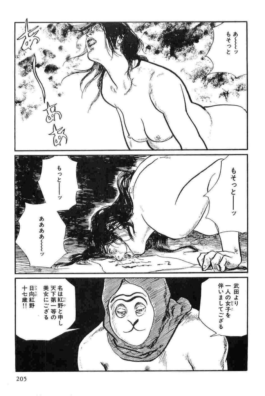 [Koike Kazuo, Kojima Goseki] Hanzou no Mon Vol.14 page 208 full