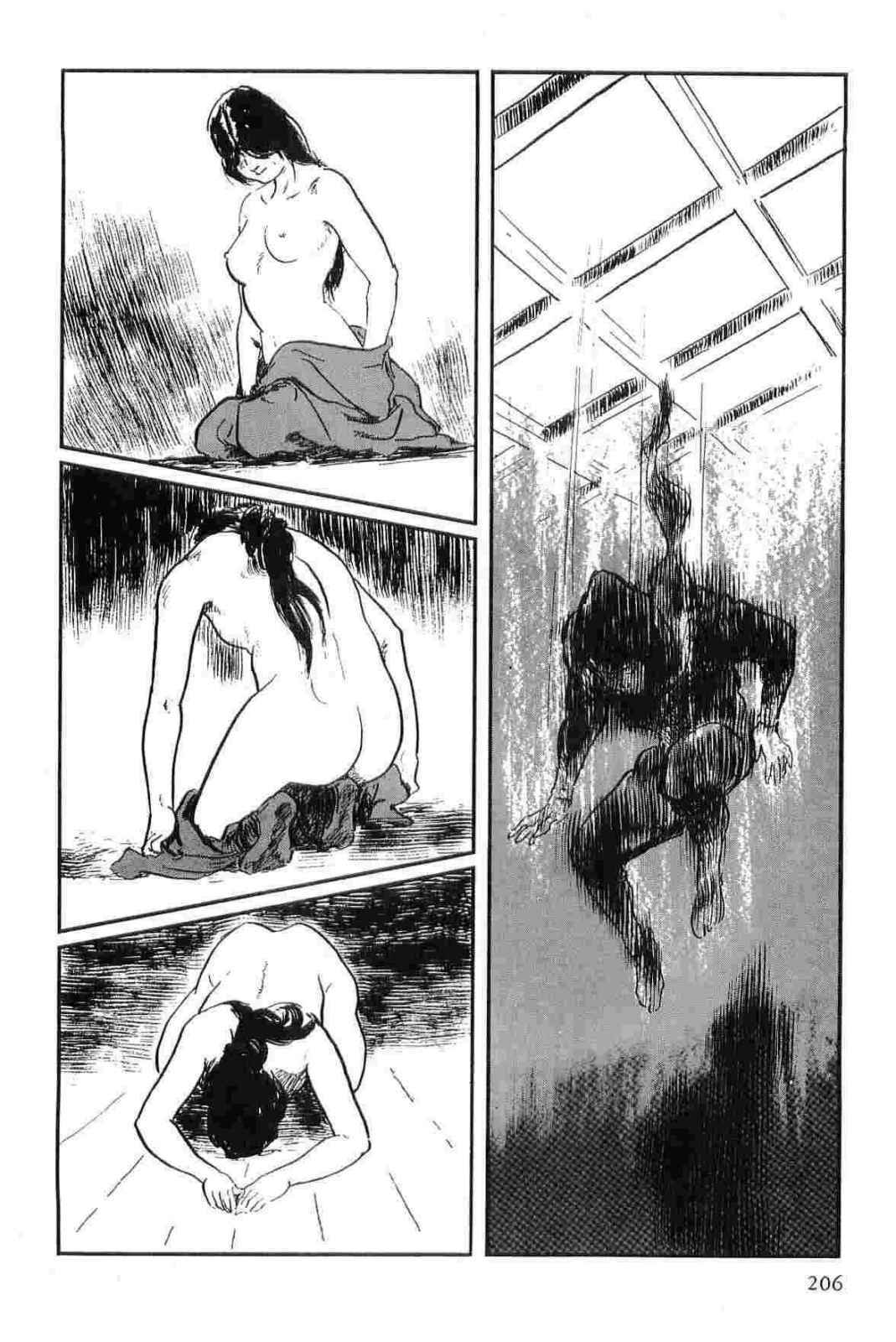 [Koike Kazuo, Kojima Goseki] Hanzou no Mon Vol.14 page 209 full