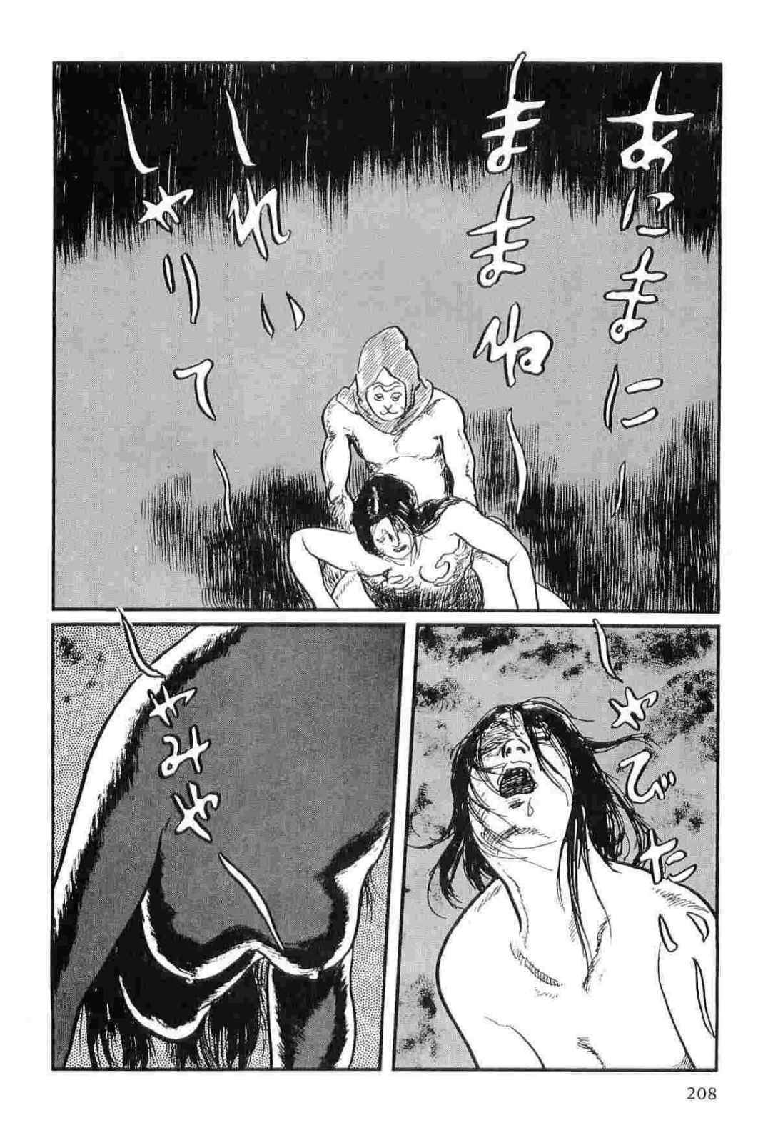 [Koike Kazuo, Kojima Goseki] Hanzou no Mon Vol.14 page 211 full