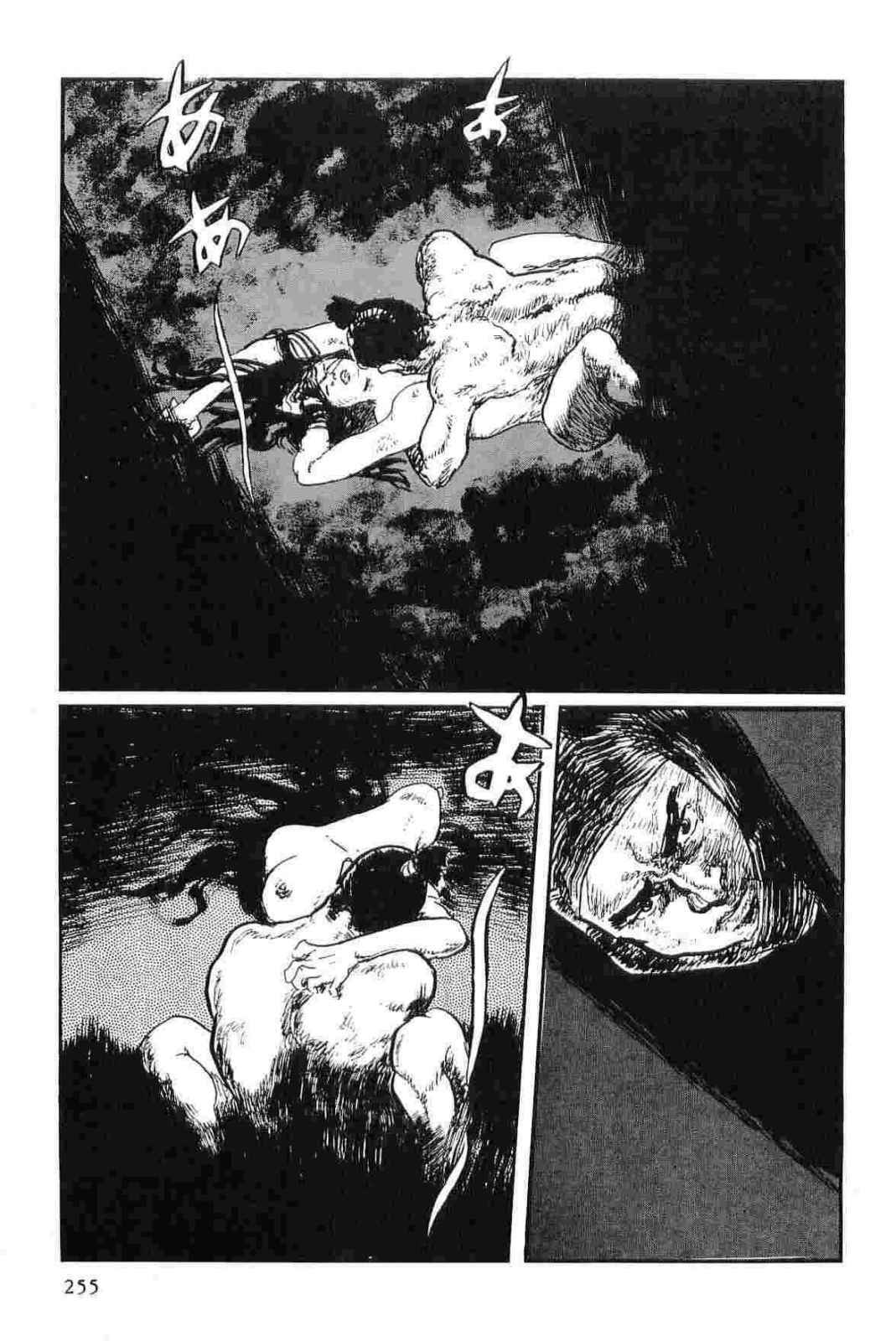[Koike Kazuo, Kojima Goseki] Hanzou no Mon Vol.14 page 258 full