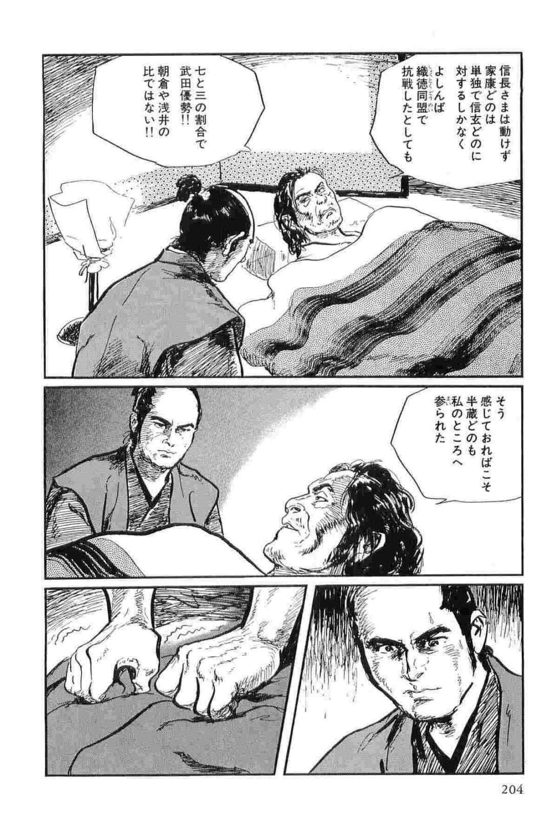 [Koike Kazuo, Kojima Goseki] Hanzou no Mon Vol.12 page 207 full