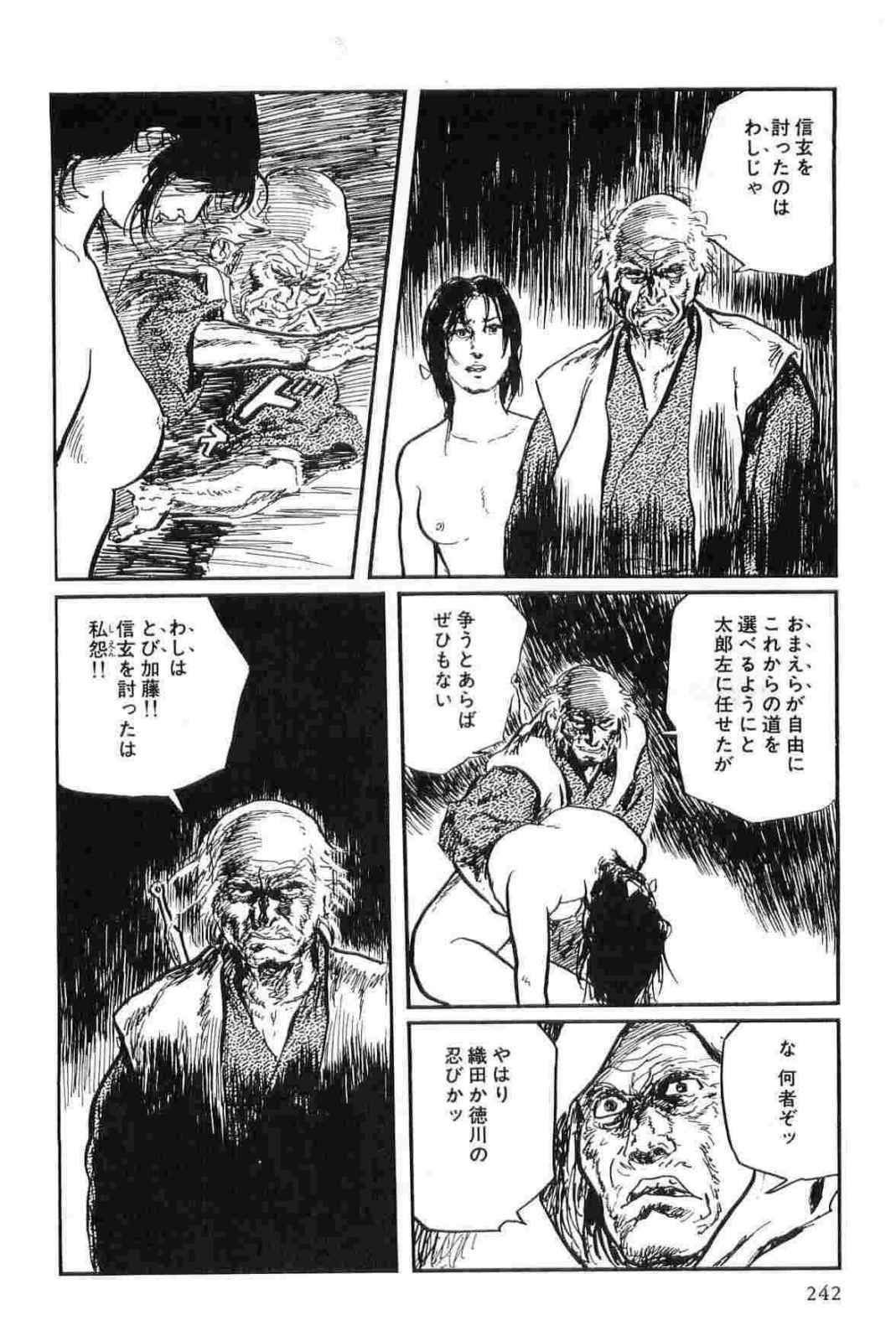 [Koike Kazuo, Kojima Goseki] Hanzou no Mon Vol.13 page 245 full