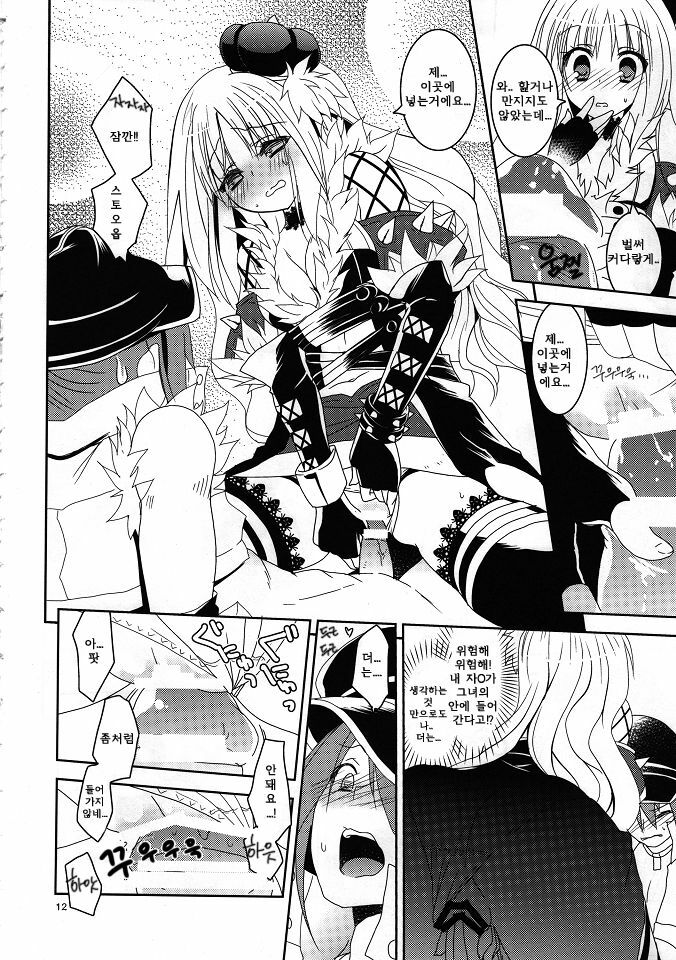 (C80) [Ryuknigthia (Kiduki Erika)] Daily RO 6 (Ragnarok Online) [Korean] [Team Arcana] page 11 full