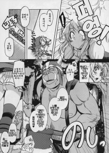 (C76) [Xration (mil)] Hime Kishi Tame | 여기사 테이밍 [Korean] [팀 면갤] - page 5