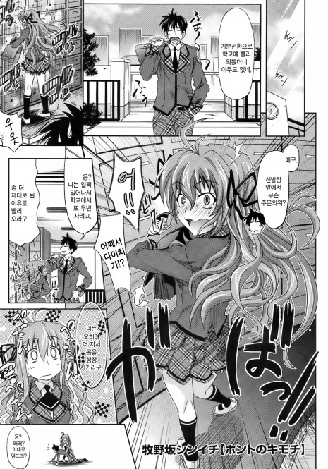 [Makinosaka Shinichi] Honto no Kimochi (COMIC Megastore 2009-06) [Korean]