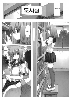 (C74) [Nekopunch Bashibashi (Mogudan, Nyangorou)] Under Ground [Korean] [Project H] - page 6