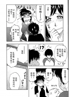 [Sengoku Maeda] Morino Sanchi no Muko Jijyou (korean) - page 29