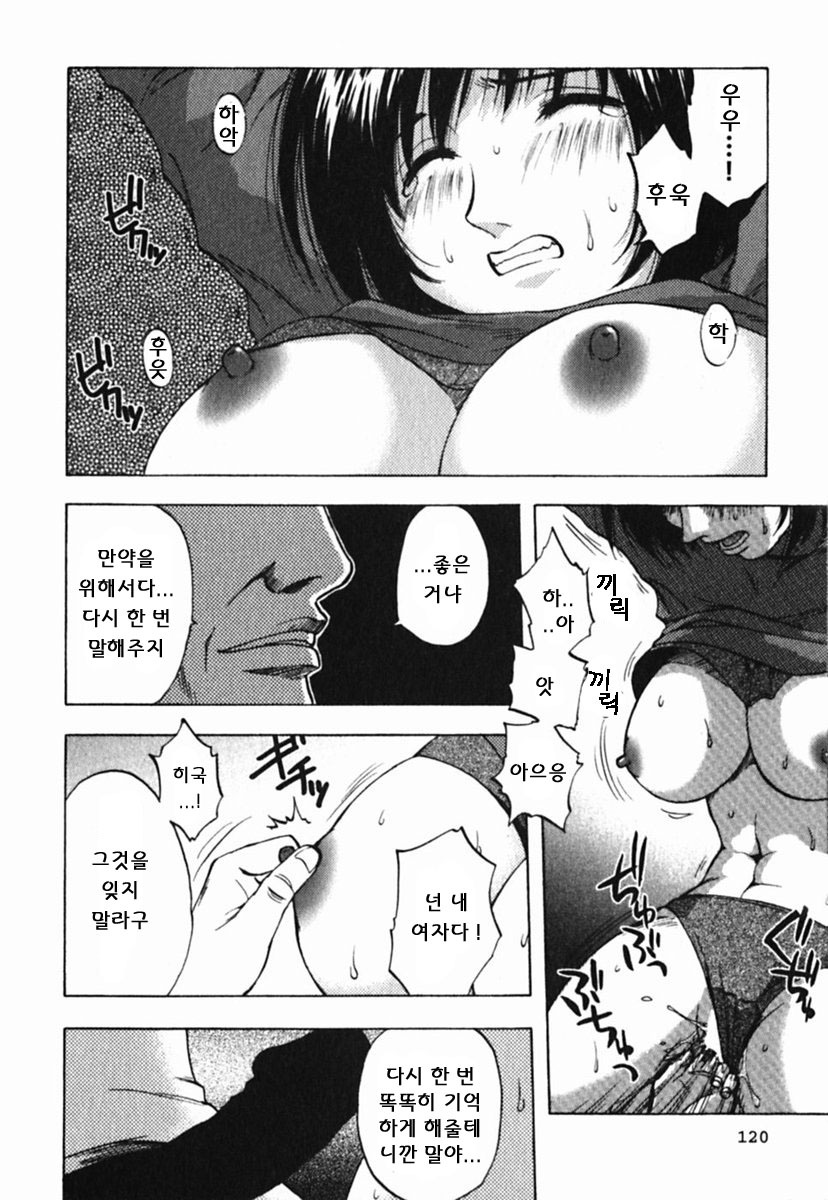 [Maeda Sengoku] Mrs. Link [Korean] [DoRaGoRa] page 125 full