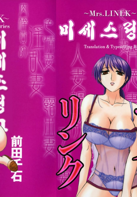 [Maeda Sengoku] Mrs. Link [Korean] [DoRaGoRa]