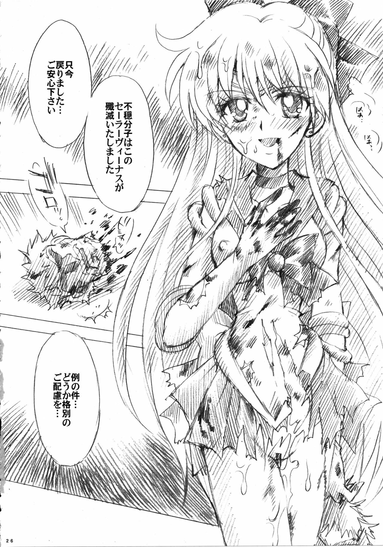 (C73) [Kotori Jimusho (Sakura Bunchou)] Gisei to Inori wo... (Sailor Moon) page 26 full