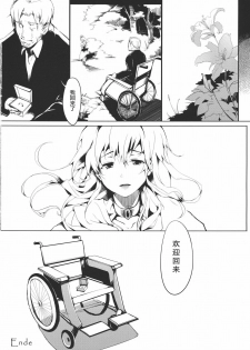 (C81) [Gyokotsu Kouzou (Kapo)] Brautkleid Yakujin no Hanayome (Touhou Project) [Chinese] [公主の假日汉化组] - page 22
