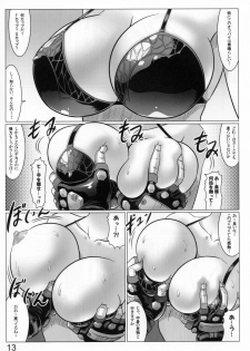 (C81) [Leymei] Midnight Terrorist (Muv-Luv) - page 13