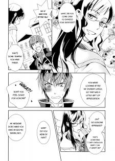 (C76) [100bee] Dream Swallow (Atelier Rorona) [English] [FwPA-FTH] - page 27