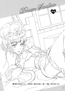 (C76) [100bee] Dream Swallow (Atelier Rorona) [English] [FwPA-FTH] - page 2