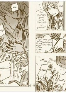[Charin] At Marisa's Grave (Touhou Project) [English] - page 11