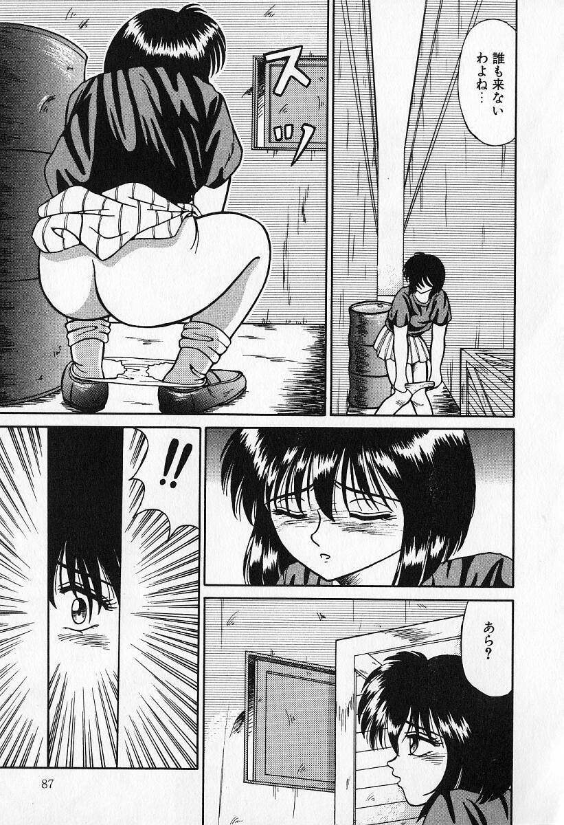 [Kesshousui] Otome no Negai page 88 full