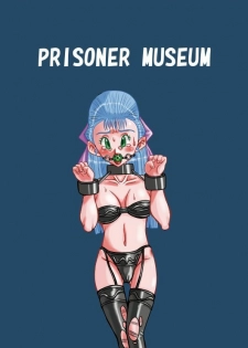 [PRISONER MUSEUM] Meuma Ouhi (Dragon Quest V) - page 25