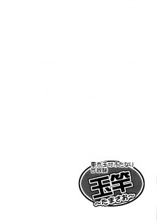 (C79) [Forever and ever... (Eisen)] Touhou Futanari With Balls Compilation (Touhou Project) [English] - page 23