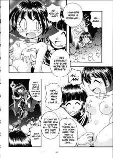 (C61) [Sairo Shuppan (J.Sairo)] Slayers Trilogy [English] - page 41