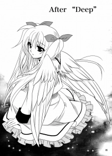 (C81) [PLUM (Kanna)] Magical SEED Ideology (Mahou Shoujo Lyrical Nanoha) - page 5