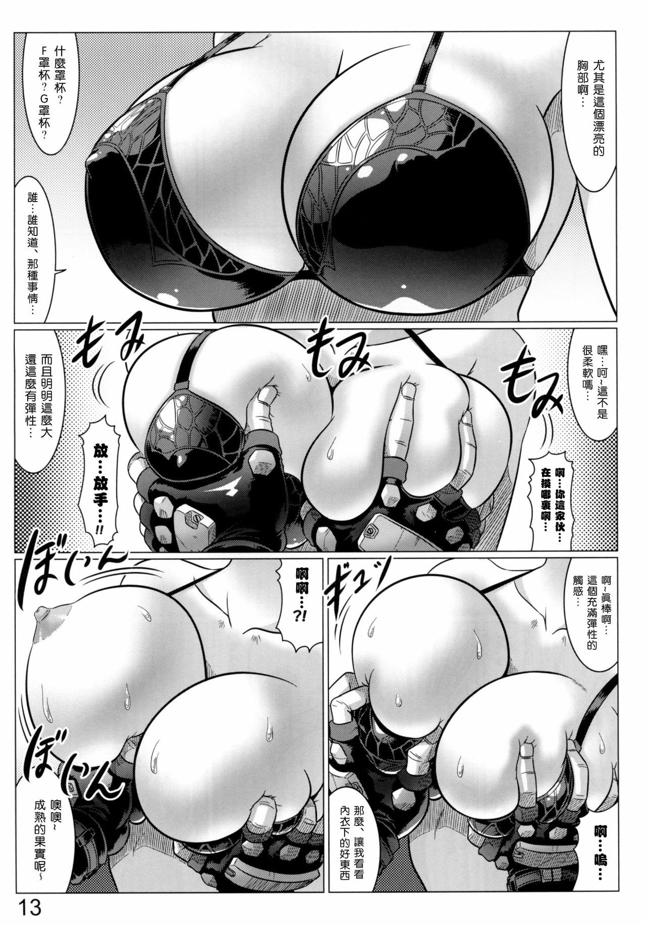 (C81) [Leymei] Midnight Terrorist (Muv-Luv) [Chinese] [空気系★汉化] page 14 full