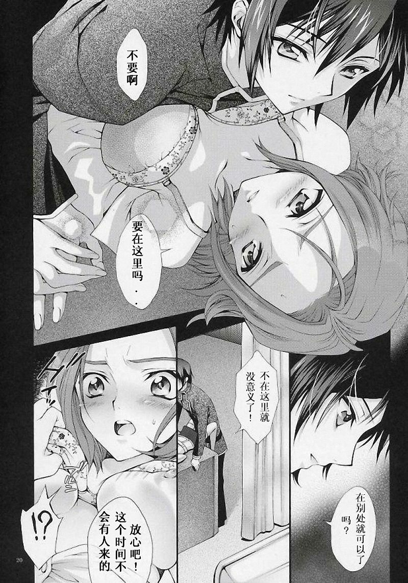 (C71) [iYou (Mizuno Poppo, Yukkyun)] Britannia Tenseki Gi (Code Geass: Lelouch of the Rebellion) [Chinese] page 19 full