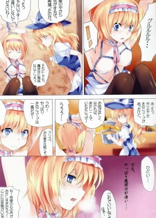 (C81) [Kyounetsuzanbun (PICO, Paintmusume)] Touhou Kinbakuroku (Touhou Project) - page 14