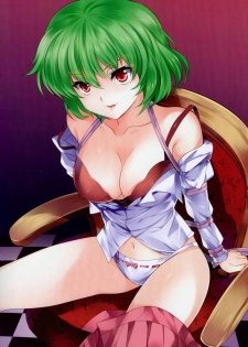 (C81) [Kyounetsuzanbun (PICO, Paintmusume)] Touhou Kinbakuroku (Touhou Project) - page 5