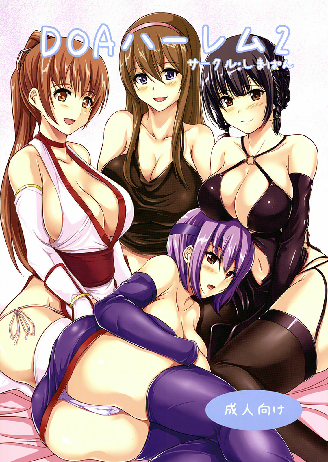 (C81) [ShimaPan (Ominaeshi)] DOA Harem 2 (Dead or Alive) page 1 full